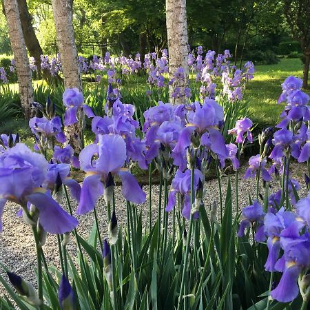 B&B Maison Parco Del Brenta Curtarolo Dış mekan fotoğraf