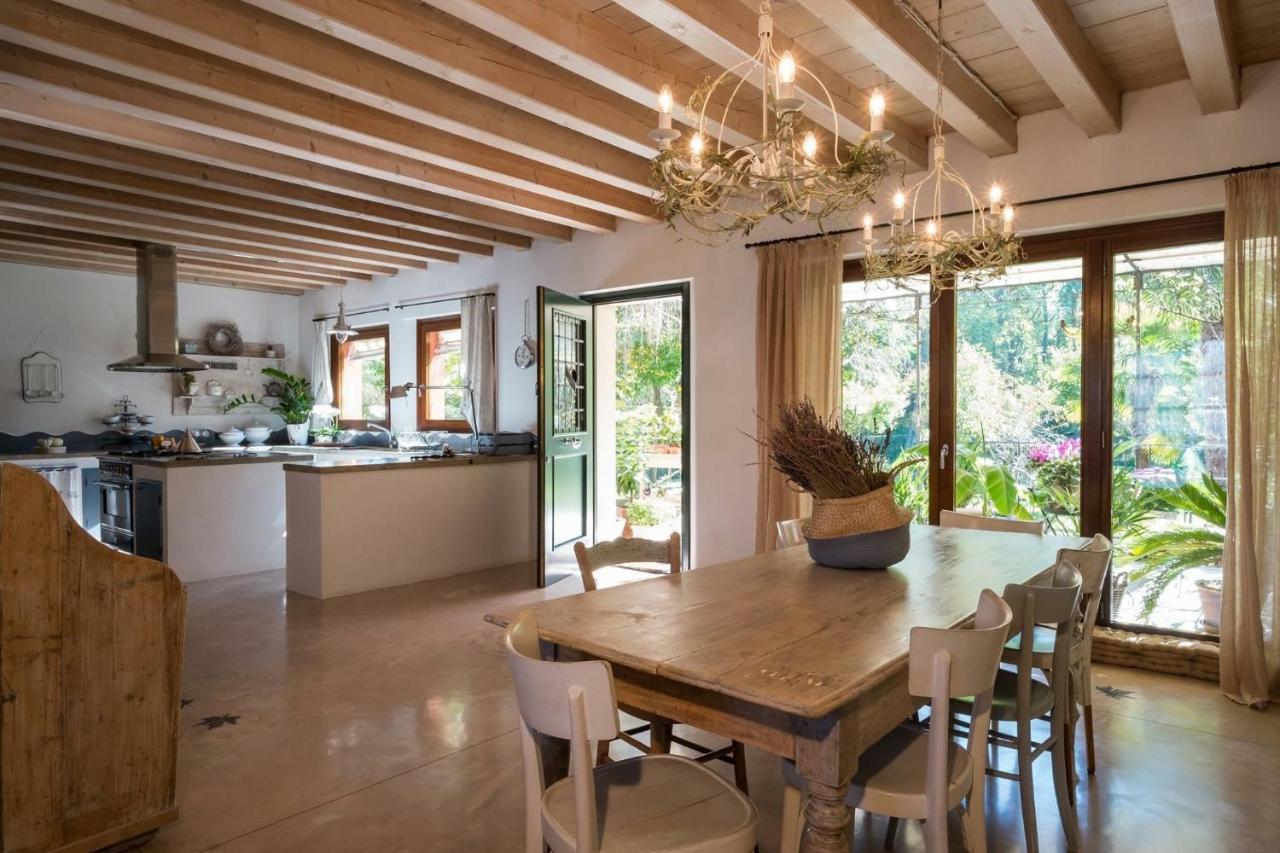 B&B Maison Parco Del Brenta Curtarolo Dış mekan fotoğraf
